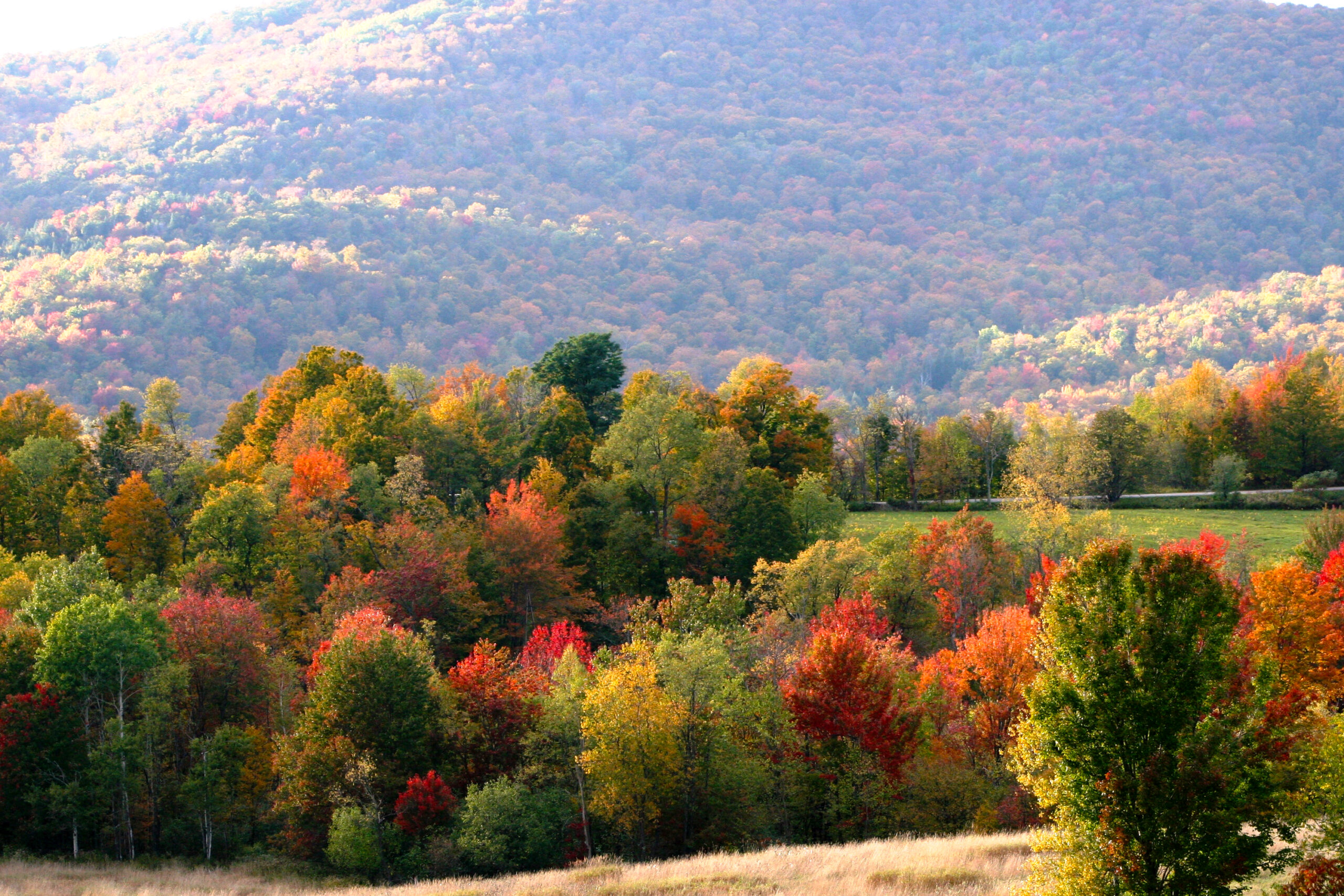 The Deer Run Inn – Affordable rooms in the heart of Vermont paradise